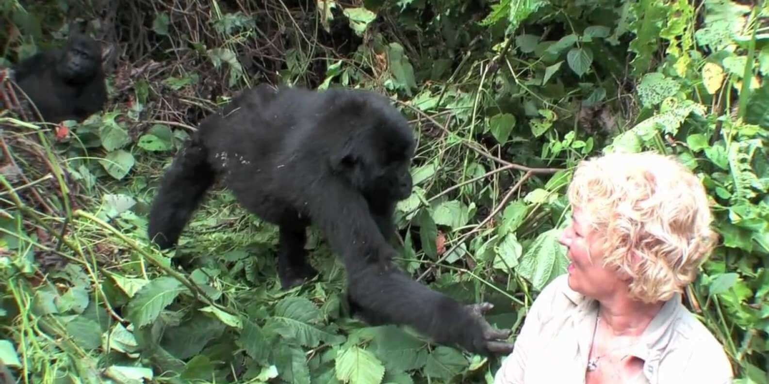 Rawanda-10 Rawanda-10